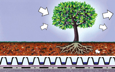 Estructura del sistema con árbol que convierte dióxido de carbono en oxígeno