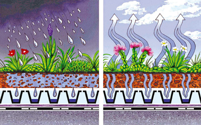 Estructura del sistema con lluvia y evaporación