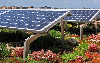 Paneles solar sobre la cubierta verde