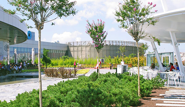 Cubierta verde con arbustos, árboles, una cafetería y un parque infantil