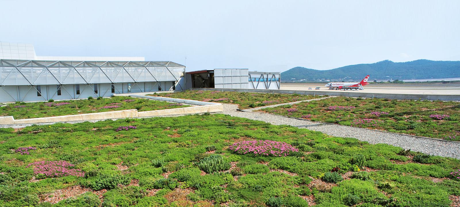 Vista parcial de la cubierta con la plantación de tipo extensiva.