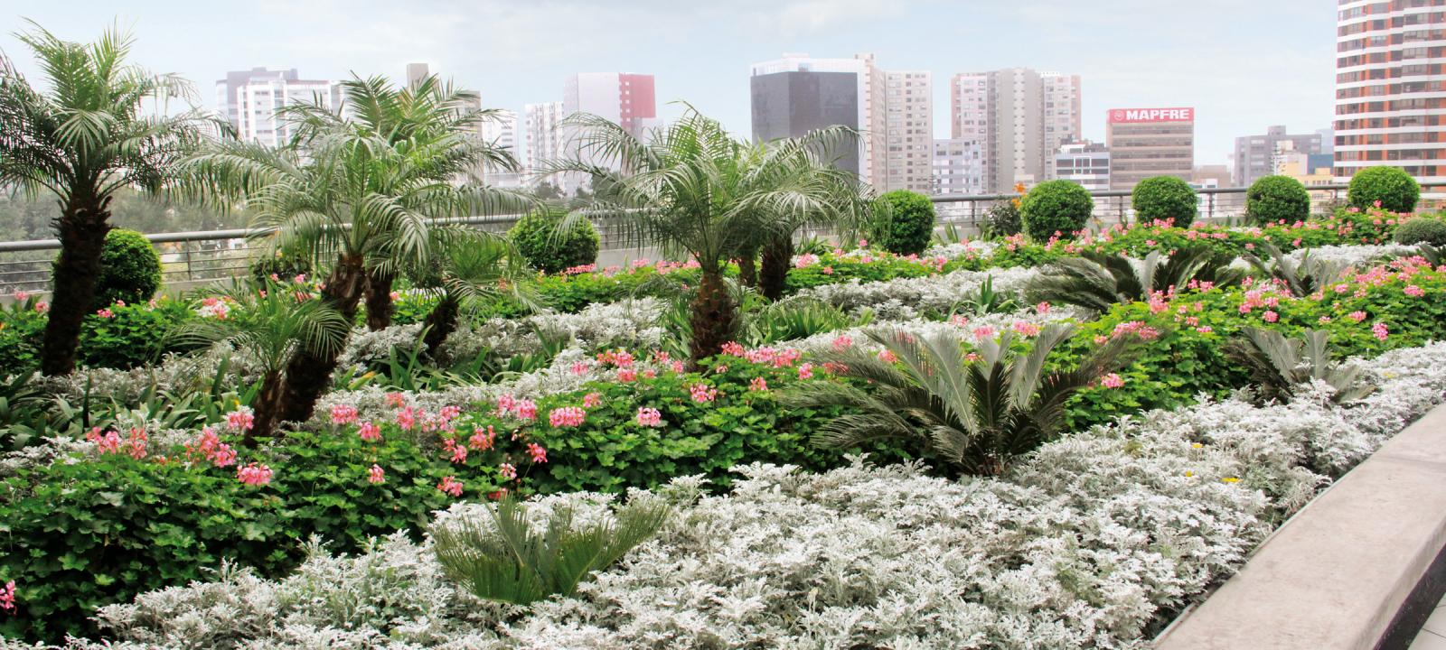 Cubierta jardín con palmeras