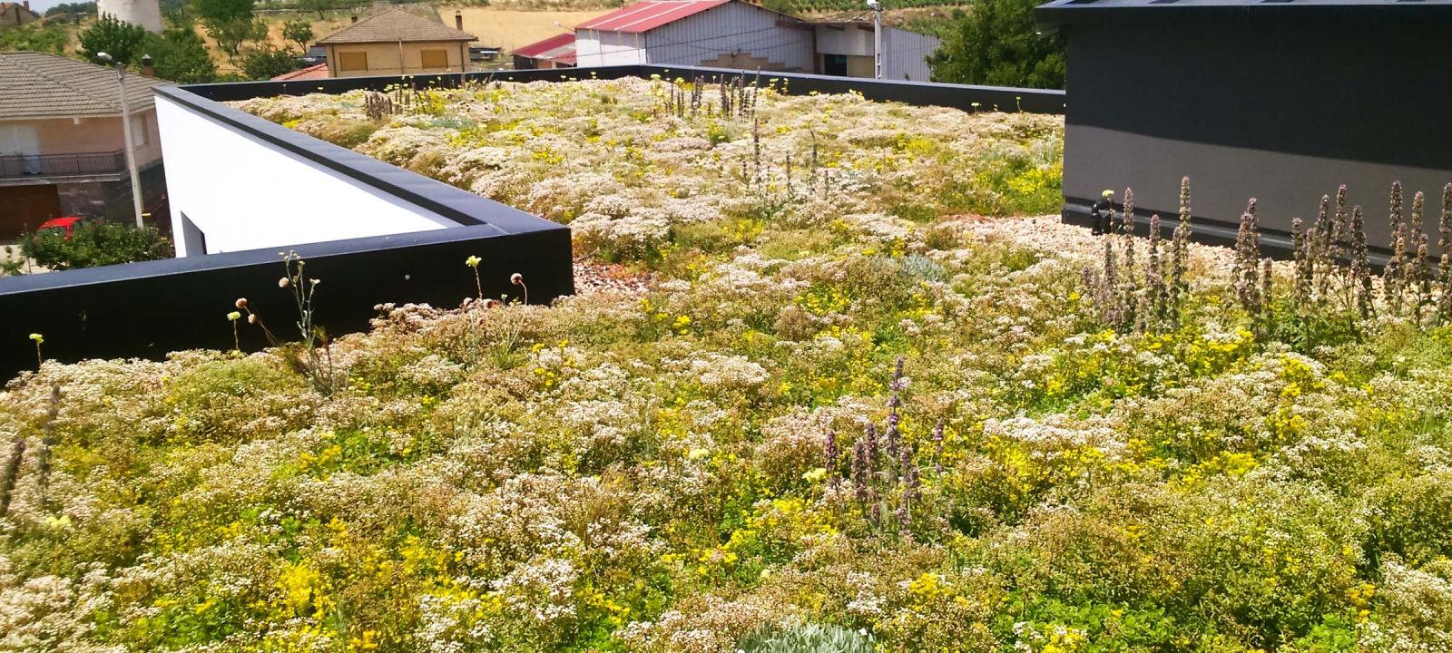 Cubierta ajardinada con Sedum