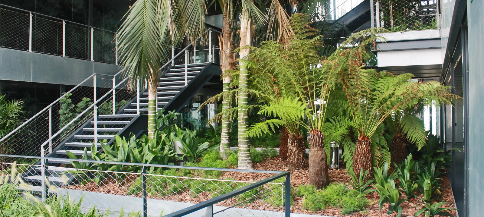 Plantación tropical en un edificio