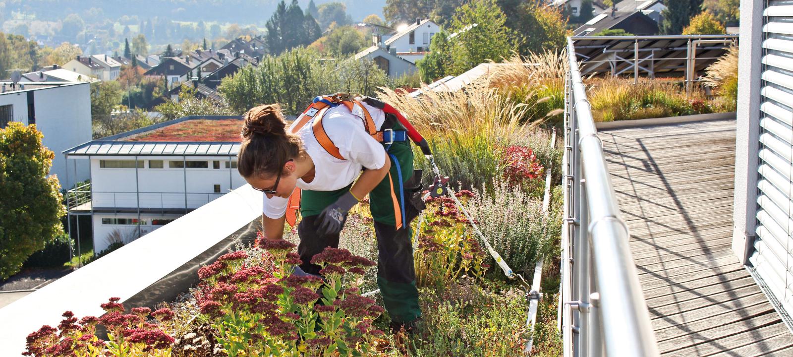 Jardinero sobre una cubierta verde con la protección anticaída Fallnet® SR Rail