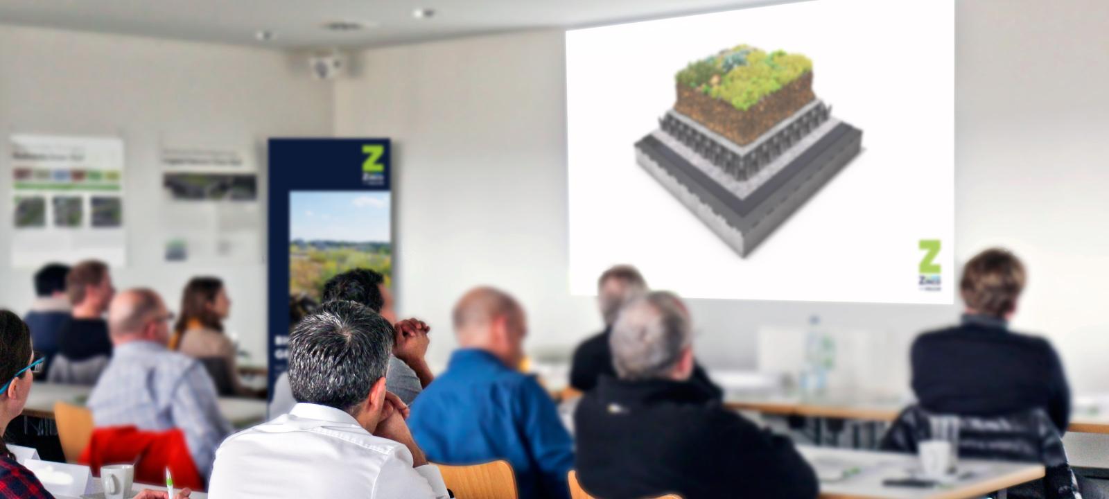 Seminario Zinco