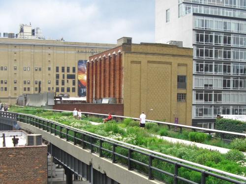 Vista del High Line Park