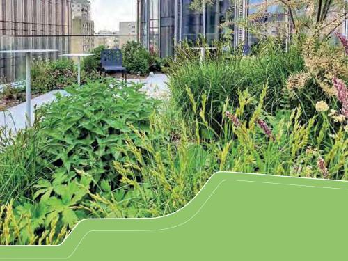 Guía de planificación 