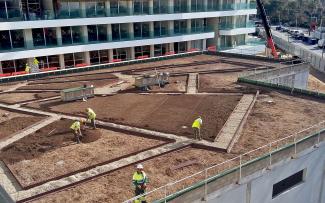 Durante la instalación de cubierta ajardinada Durante la instalación de la cubierta verde: formando áreas irregulares delimitadas por caminos transitables de grava, supone una continuación del esquema paisajístico que rige en el resto de las áreas verdes del hotel. Origen: Proyectos Paisajísticos de Balerares, S.L.