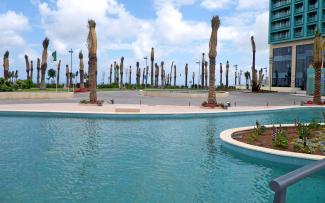 Un momento después de la colocación de las palmeras. Sus coronas aún no estan desatadas. La piscina, palmeras y peatonales