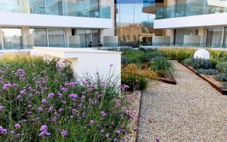 Para la capa vegetal se eligió un tipo de vegetación de naturaleza filomediterránea, con alta tolerancia al stress hídrico y a la elevada radiación solar. Origen: Proyectos Paisajísticos de Balerares, S.L. Cubierta jardín de un complejo hotelero