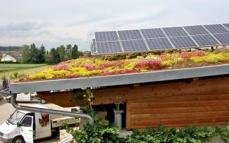 Objeto PRO-NATUR, instalación fotovoltaica sobre SB 200 y SGR 35/90 con una inclinación de 30º convertida posteriormente en una cubierta ajardinada extensiva. Instalación fotovoltaica en una cubierta ajardinada inclinada