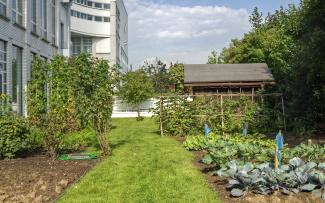 Museo técnico en Mannheim, Alemania: Sistema ZinCo "Urban Farming" Un huerto sobre la cubierta