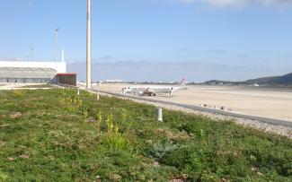 Vista parcial de la cubierta del aeropuerto de Ibiza con una plantación de tipo extensivo. Cubierta ajardinada extensiva en un aeropuerto
