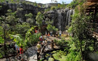 La gente en un jardín botánico con cascadas
