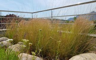 Cubierta jardin con banrandillas