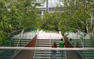 Escaleras al jardín High Line Park