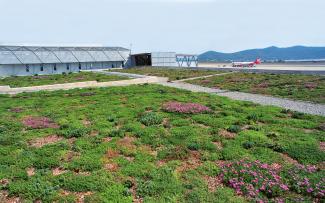 Terminal del aeropuerto de Ibiza: Sistema ZinCo "Sedum Tapizante" Cubierta ajardinada extensiva