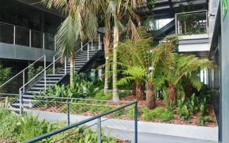 Renaissance Barcelona Fira Hotel en Barcelona: Sistema ZinCo "Cubierta jardín" Cubierta jardin con palmeras