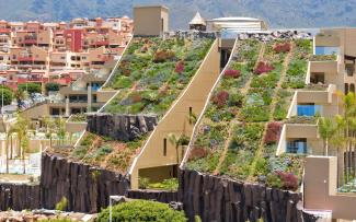 Las rocas y la plantación de palmeras dentro y entre las cubiertas inclinadas añaden otros elementos singulares a estas cubiertas. Origen: Impermeabilizaciones Machado, S.L. La cubierta inclinada ajardinada