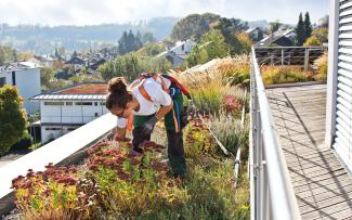Jardinero sobre una cubierta verde con la protección anticaída Fallnet® SR Rail