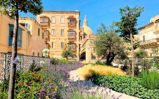 Un jardín en la azotea