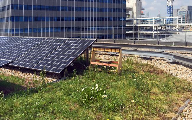 Paneles solares y apoyo para la anidación de insectos en una cubierta verde.